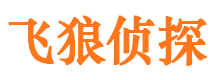 元宝山市调查公司